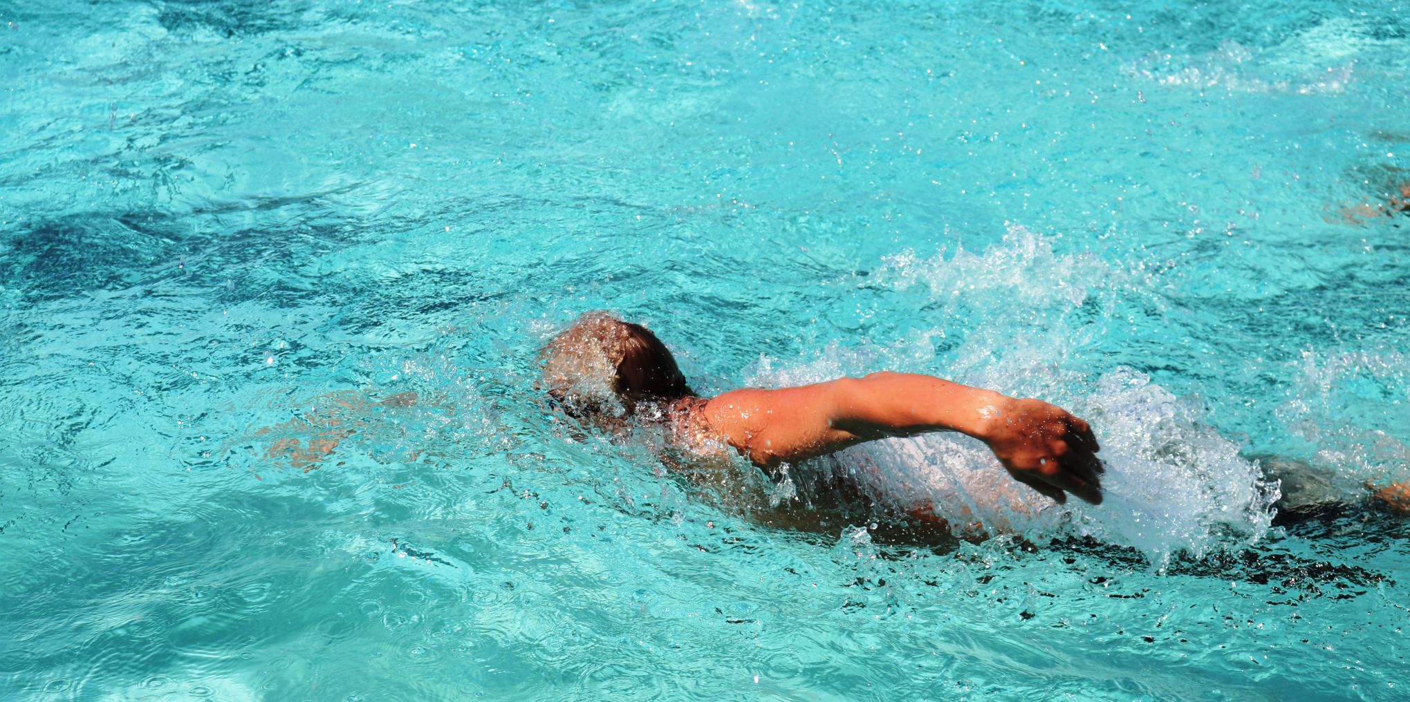 080818 SYHS WP 04. Haws.JPG